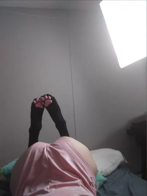 I hope you paws and take a good look~