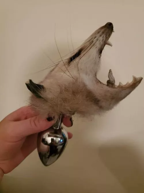 I just love ❤️ my new butt plug