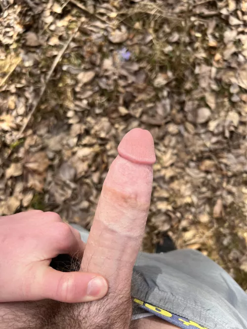 I like when the sun hits my dick