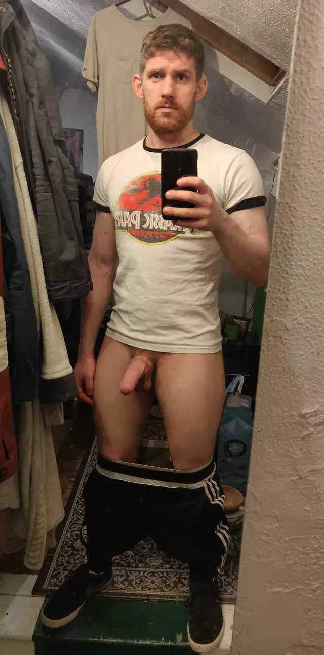 I love dinosaurs I love dinosaurs