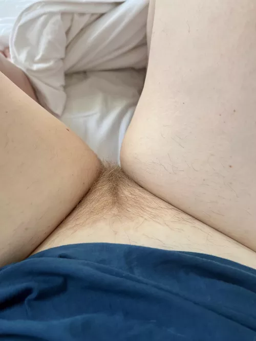 I love my little ginger triangle 🐈