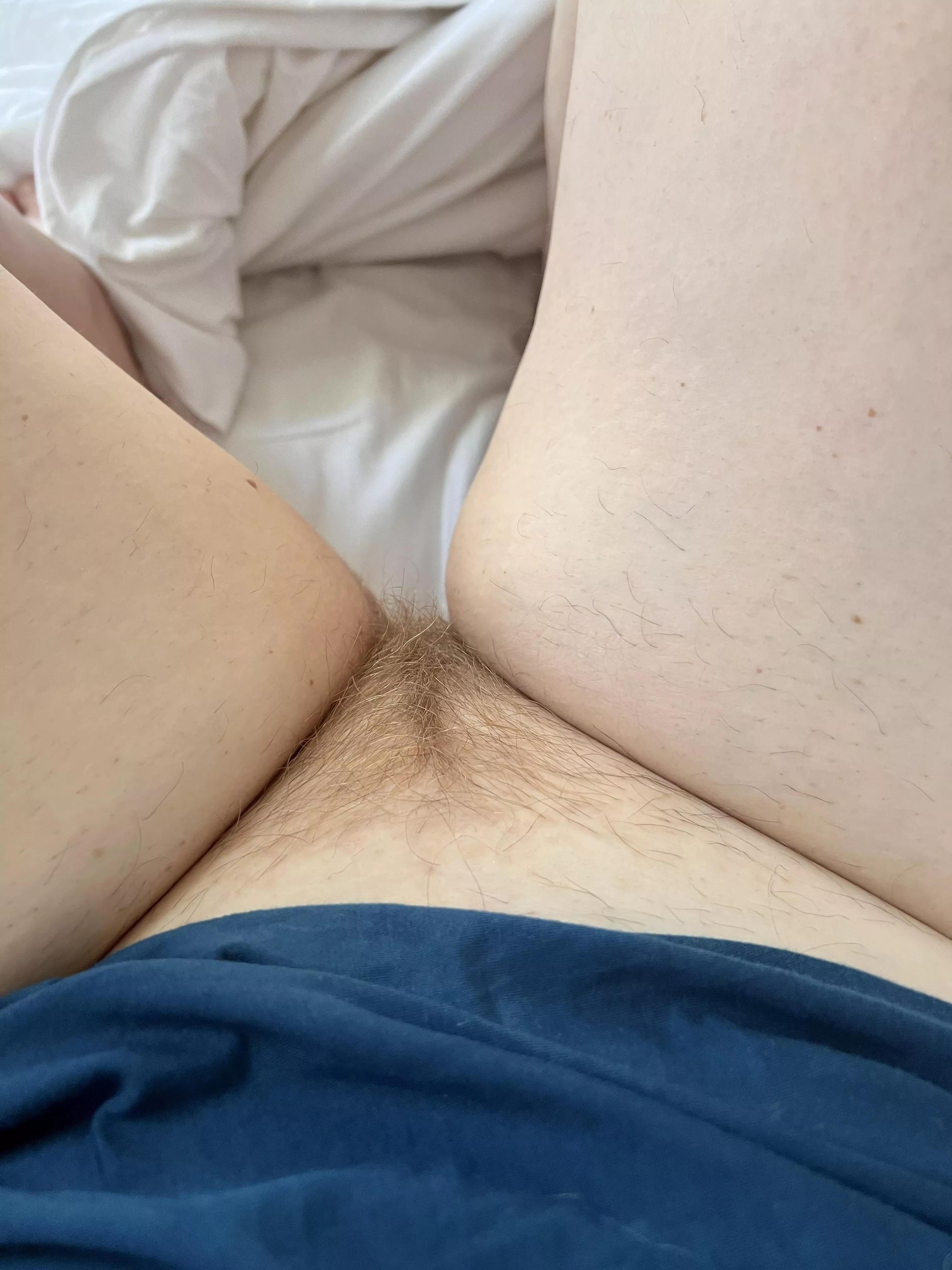 I love my little ginger triangle 🐈