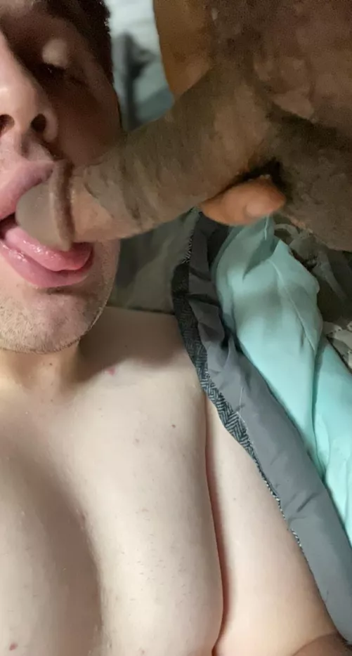 I love sucking cock