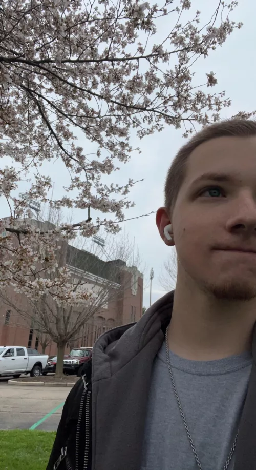 I love the trees that grow around here š