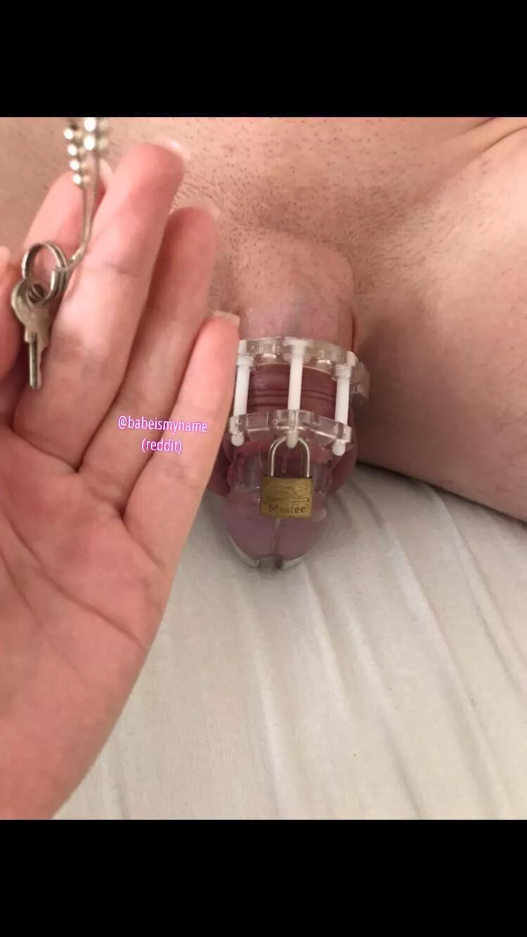 I love to lock his dick up 😈 (f20)