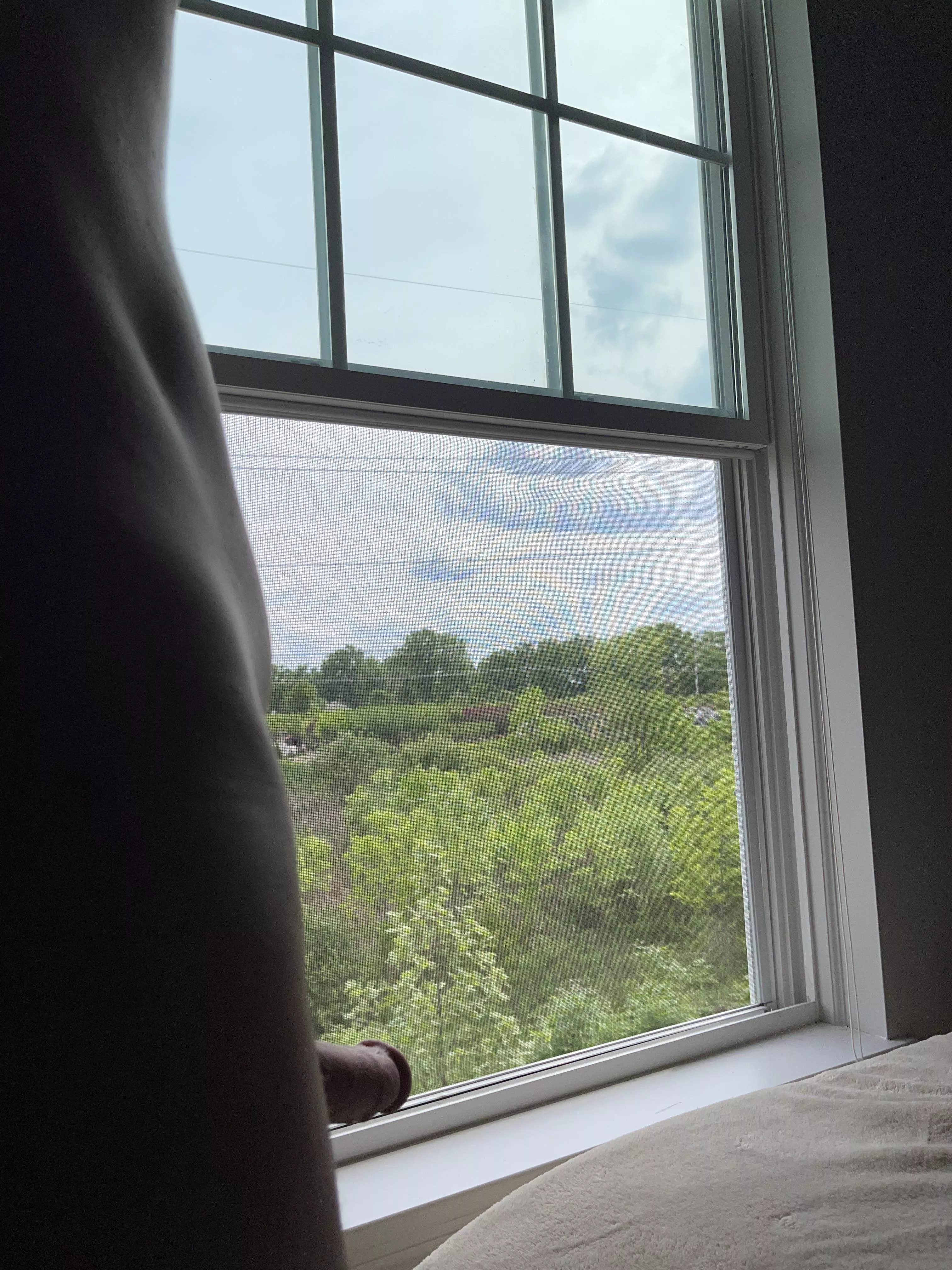 I love when it’s green outside.