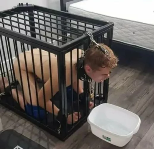 I need a sissy to humiliate