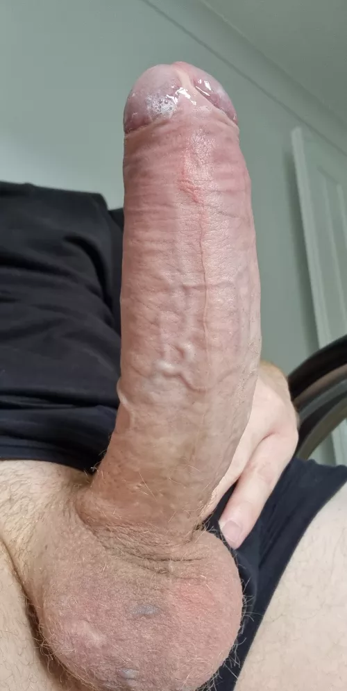 I need some help, it's not going to suck itself 😏