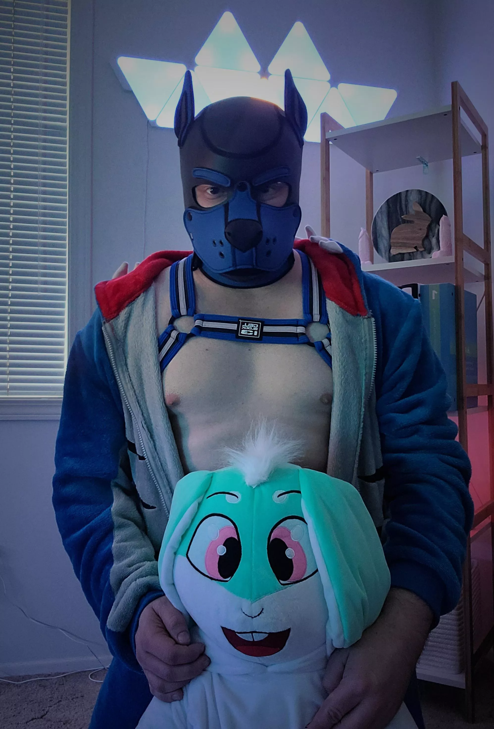 I really like Bunnies 🐰