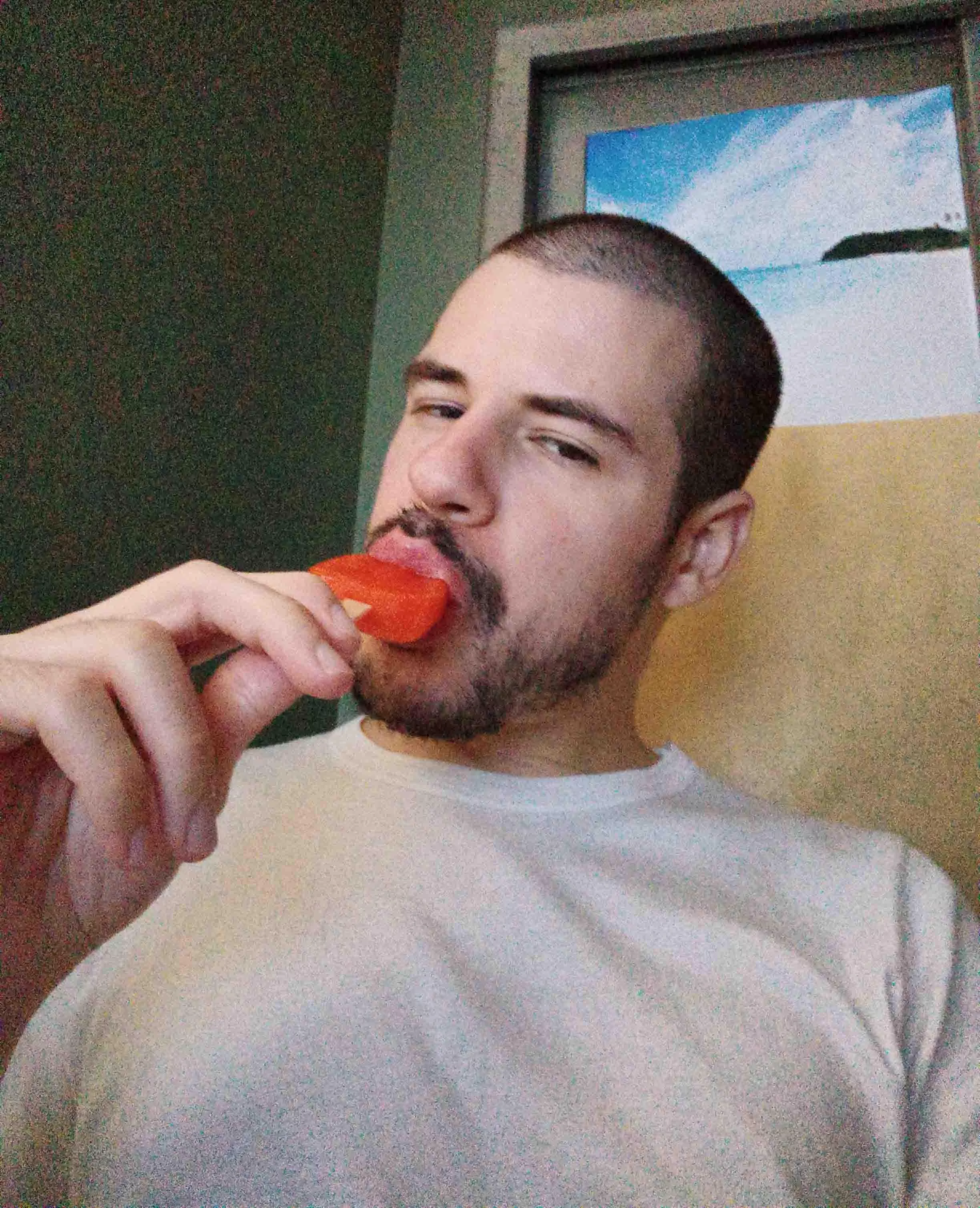 i scream for ... i scream for ...