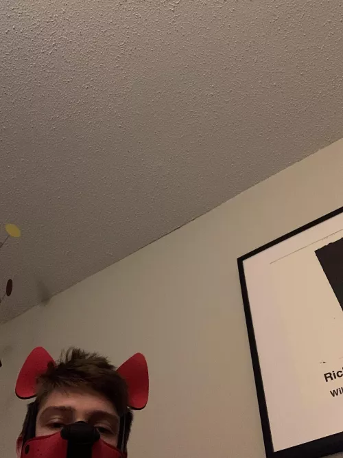 i sent u my bone pls respond