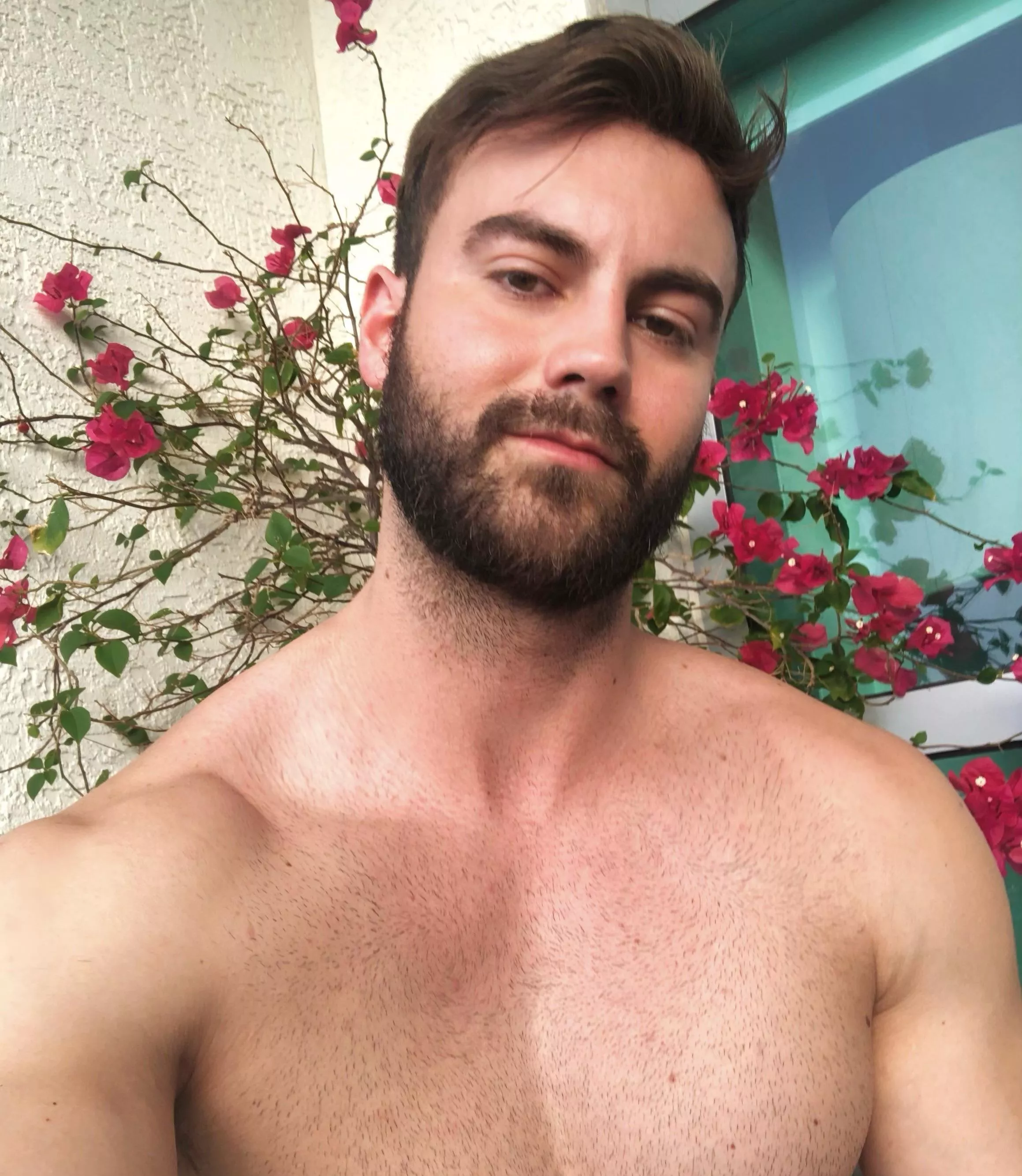 I survived the California heat wave I survived the California heat wave