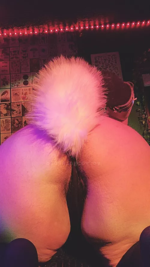 i think it matches my tail, don't u agree? 🐕💗