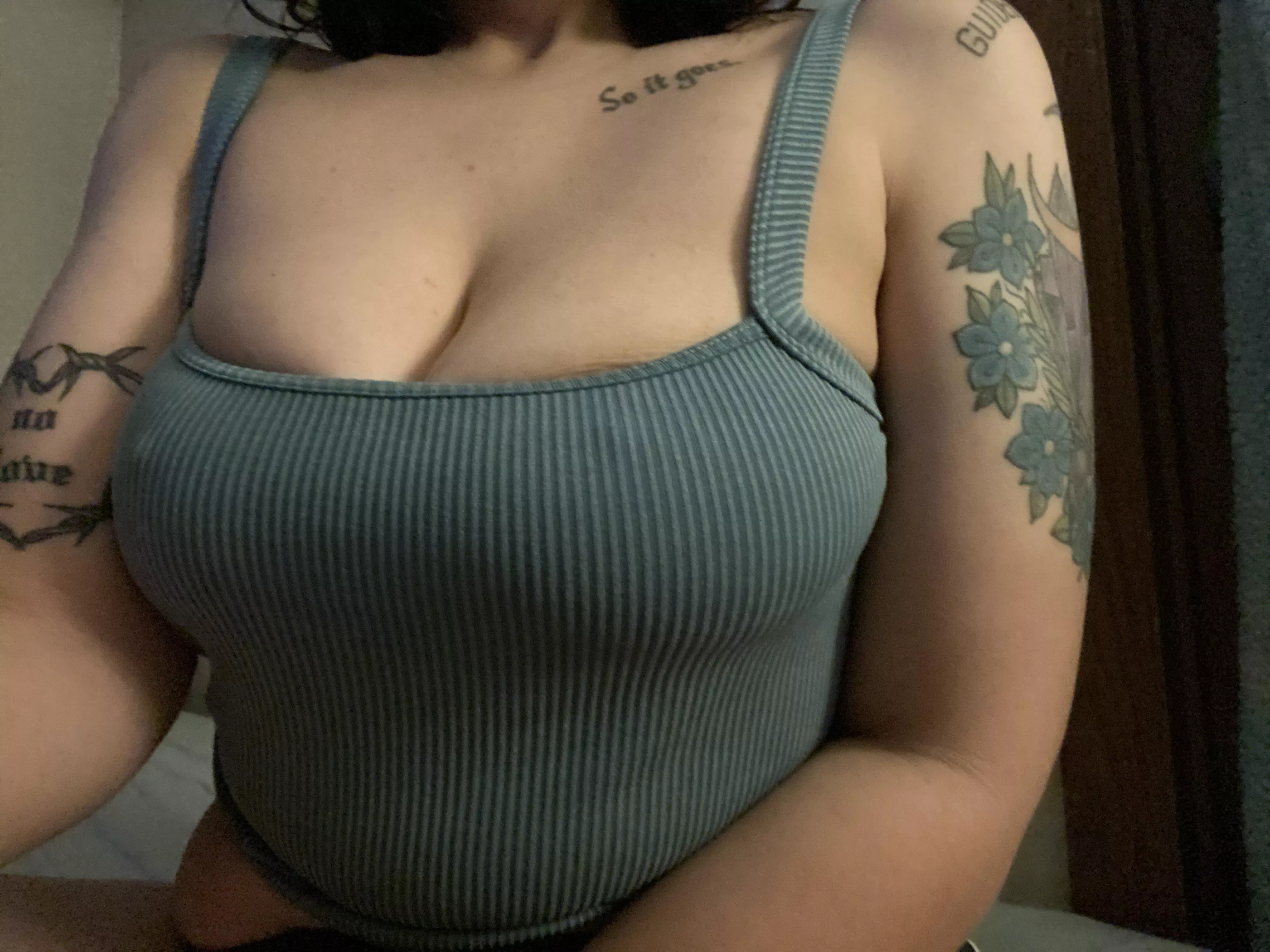 I think they’re looking pretty good!