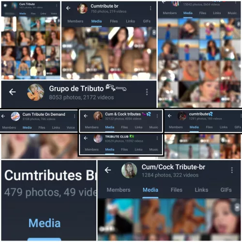 I trade tribute group links for more than 10 per tribs send kik: VinnSSP