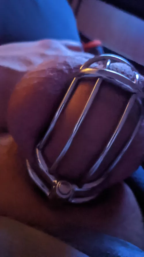 I was good today so wifey gave me a BJ got me rock hard then stopped and locked my clitty up I'm so horny 😈💯🤤🍆💦💦Love it !