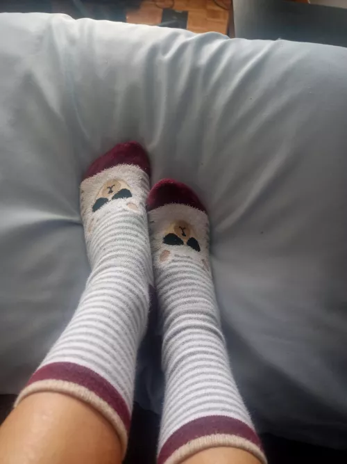 I will let you take them of[f]