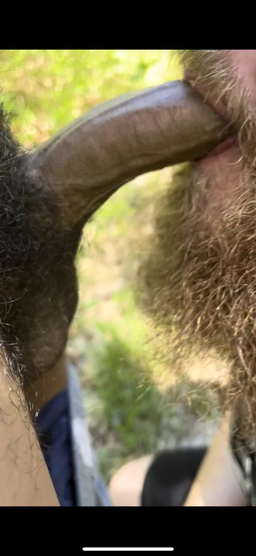 If a dude pulls his dick out in the woods. You drop to your knees and suck it. #BBC #Cruising #Public