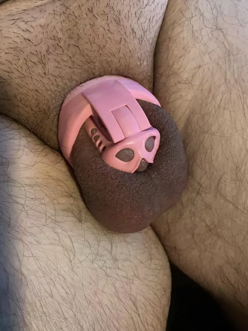 If I wasn’t so desperate to play with my little cock I probably wouldn’t even know this thing was on! DMs open!
