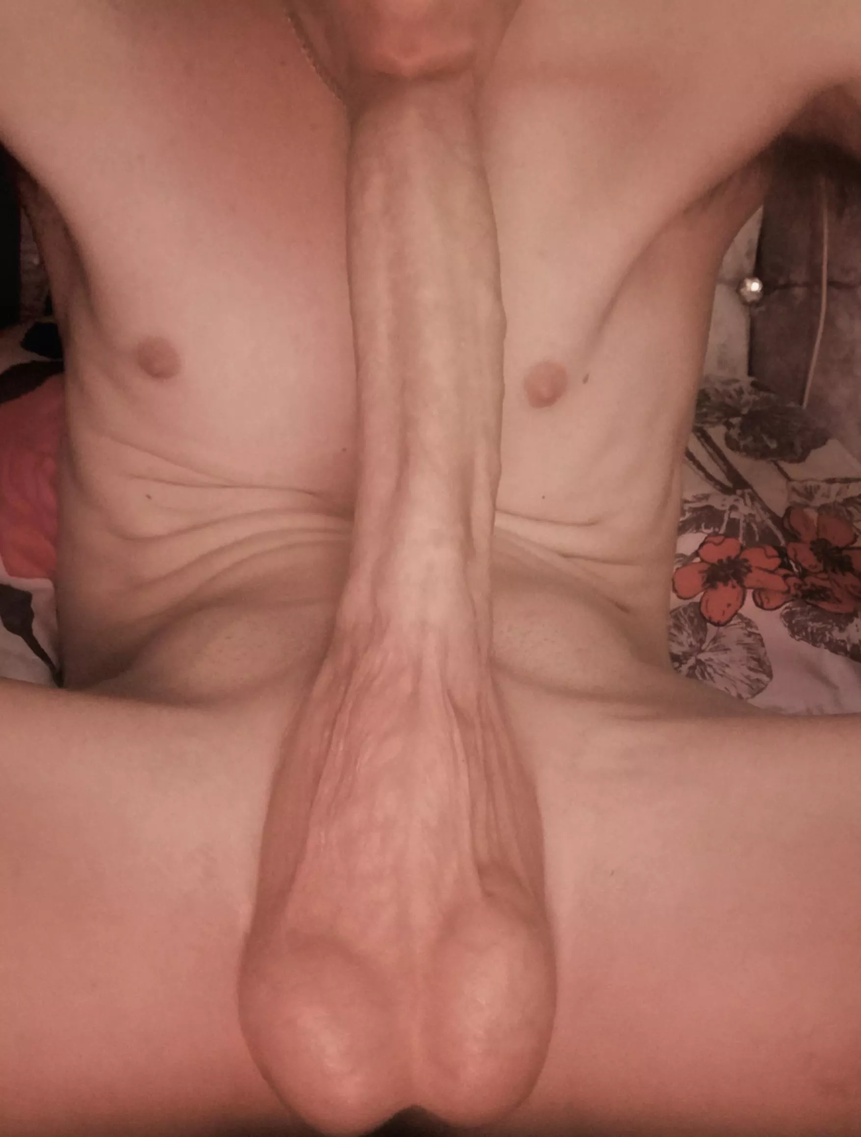 If only I could enter talent shows with this act