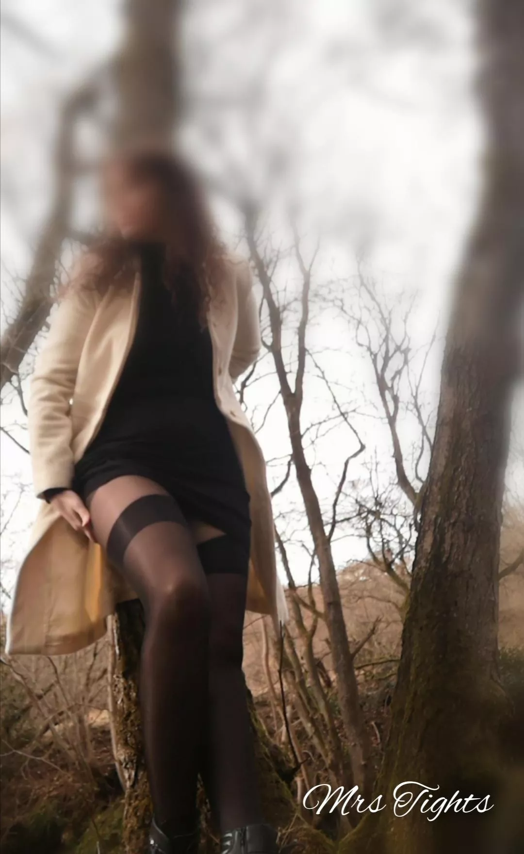 if you go down to the woods today 😉 [F]