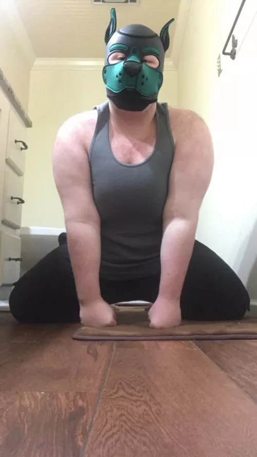 I’ll never not pull this pose when sending pup pics to guys 🐾🥰