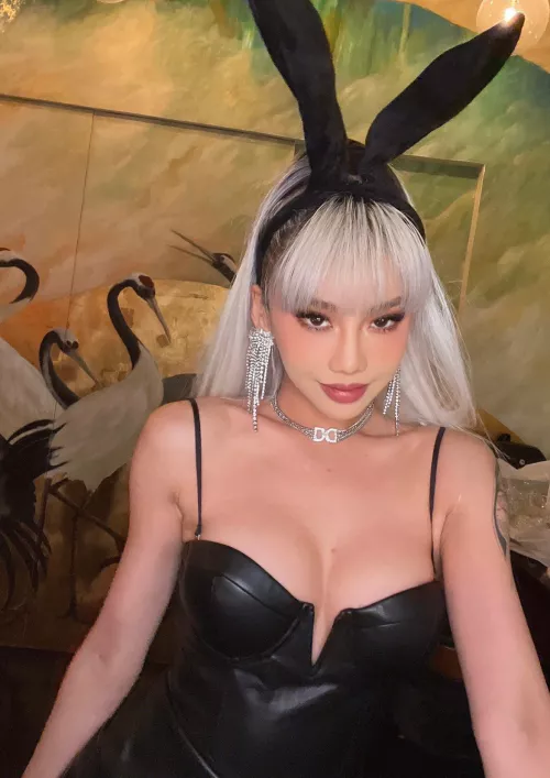 i’m a bunny in a girl’s body