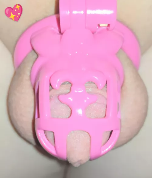 I'm loving my new cage