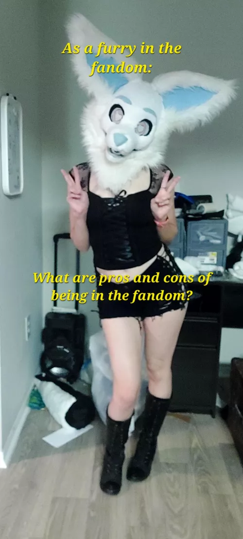 I'm making a video about the fandom from a furry. I wanted others opinions too so its not just mine!