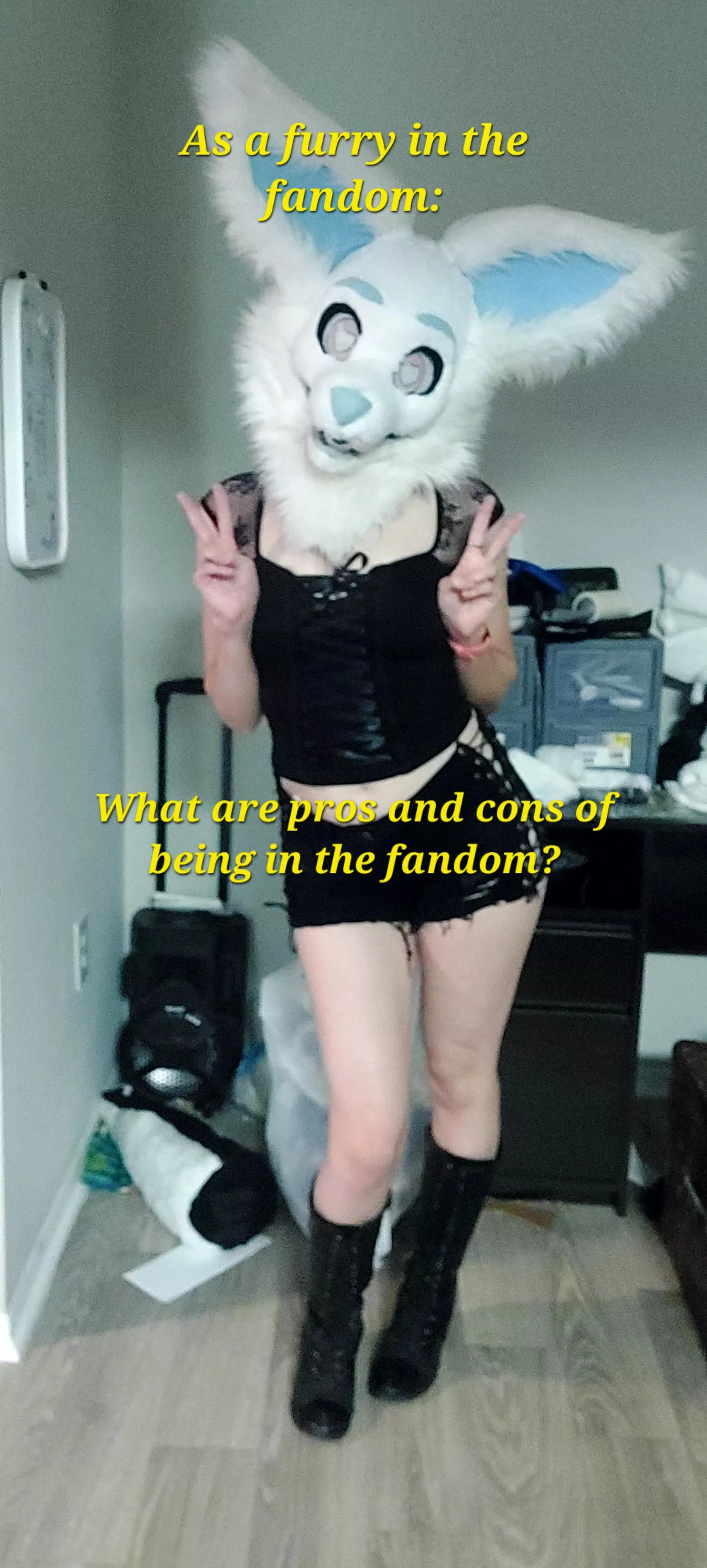 I'm making a video about the fandom from a furry. I wanted others opinions too so its not just mine!