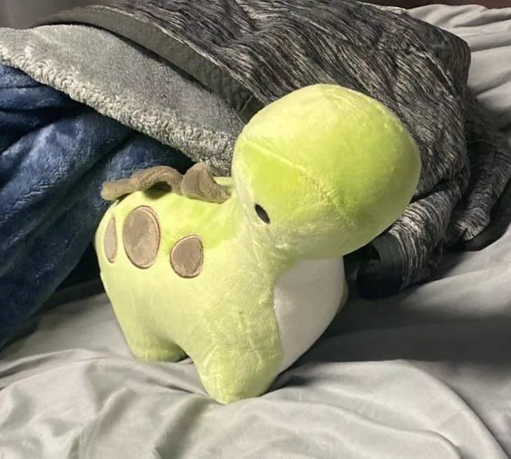 I’m new and trying to make some little friends. This is Ben and I love him