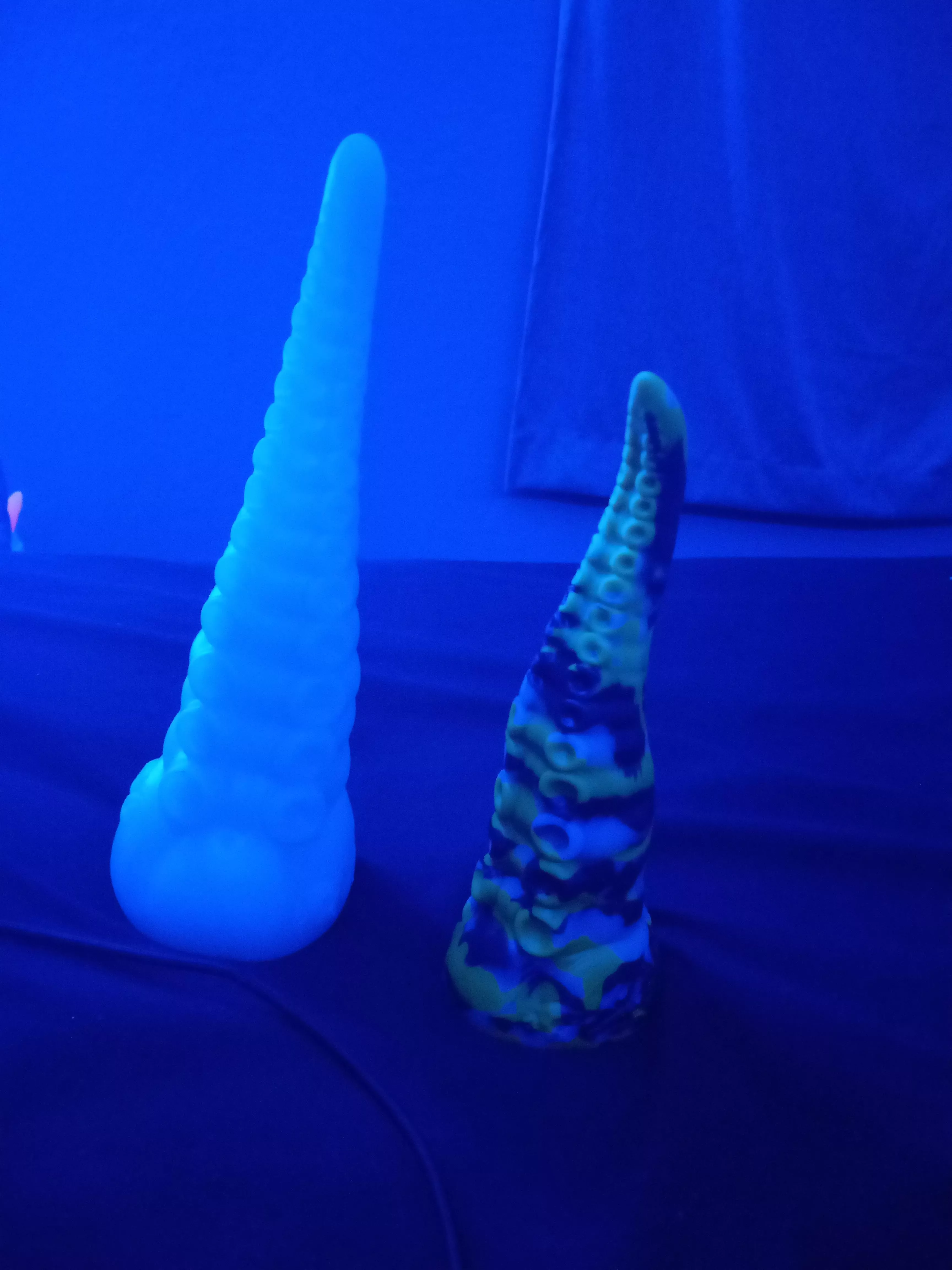 In honor of tentacle Tuesday...enjoy a M/S and S/S Ika