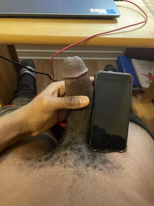 iPhone 8 vs avg penis