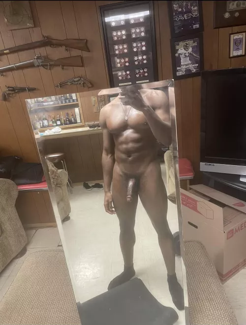 Irvine bull looking to breed