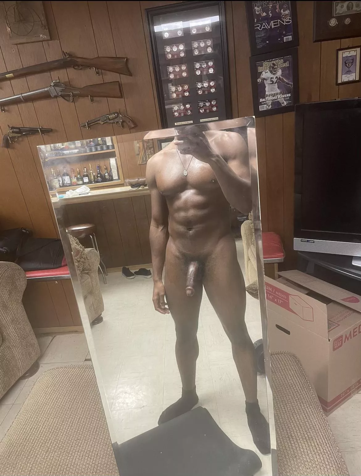 Irvine bull looking to breed