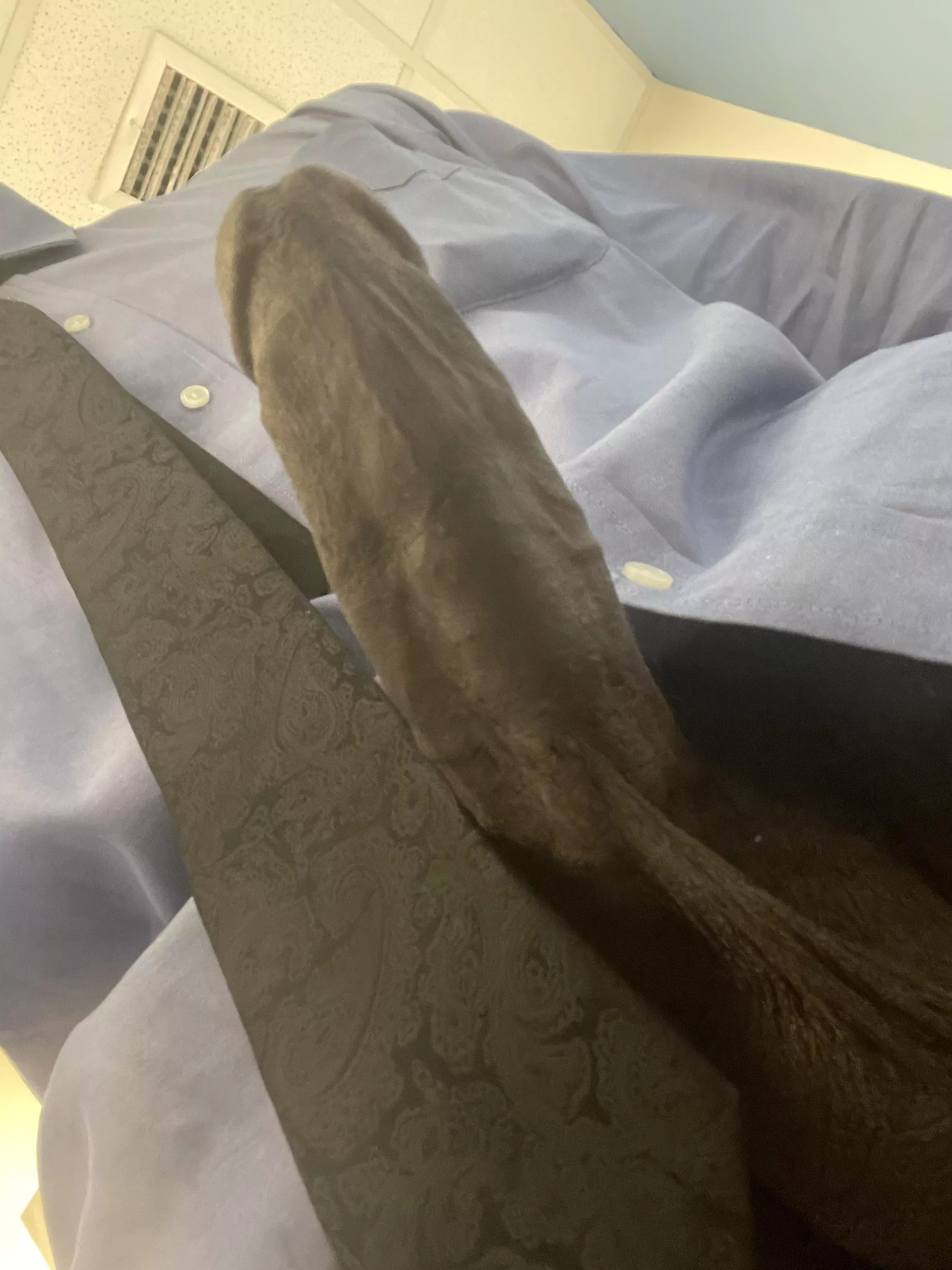 Is the supervisor supposed to act up at work 🥴