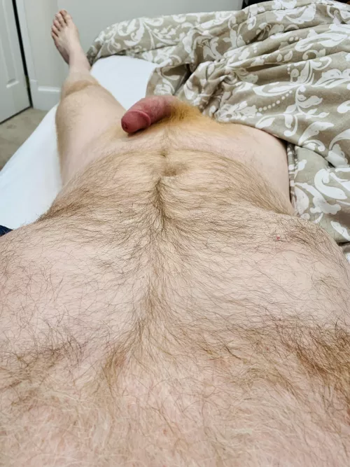 It’s almost like my gingery fur leads a path directly to my…