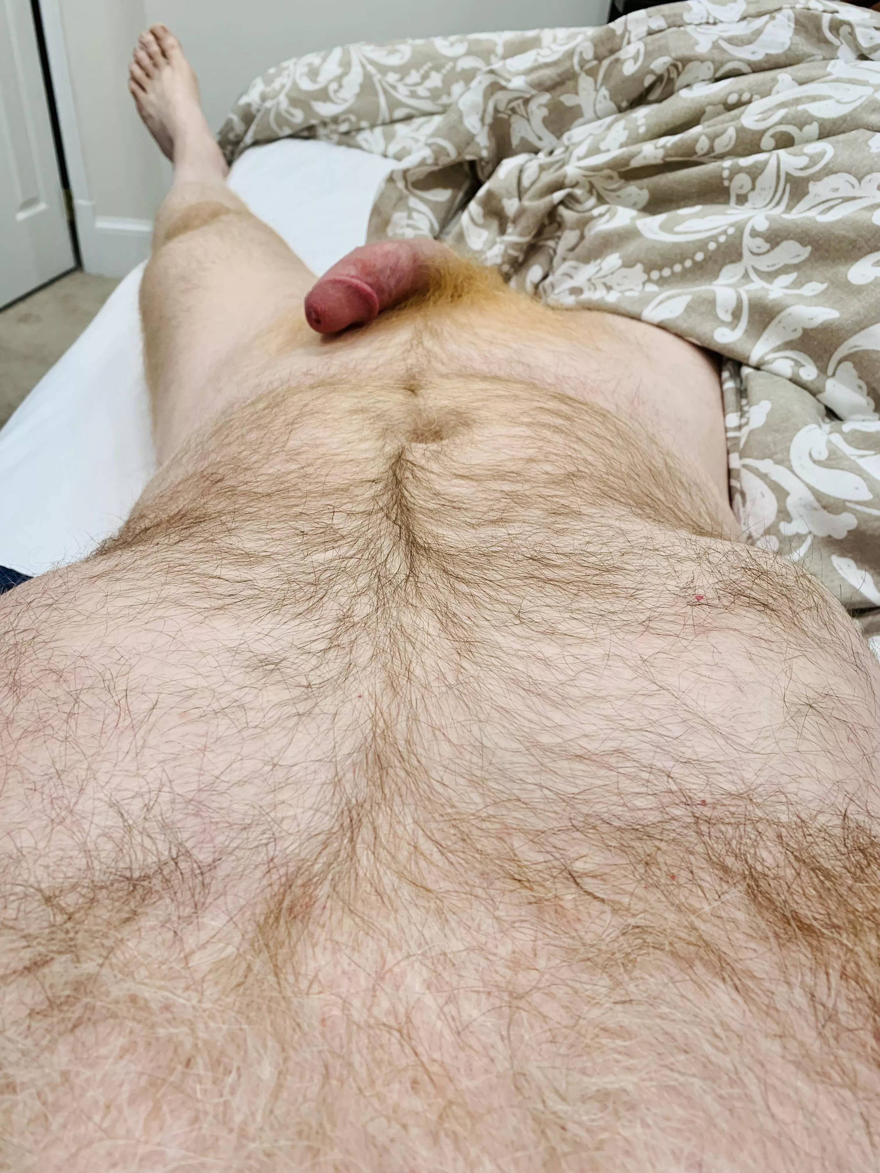 It’s almost like my gingery fur leads a path directly to my…