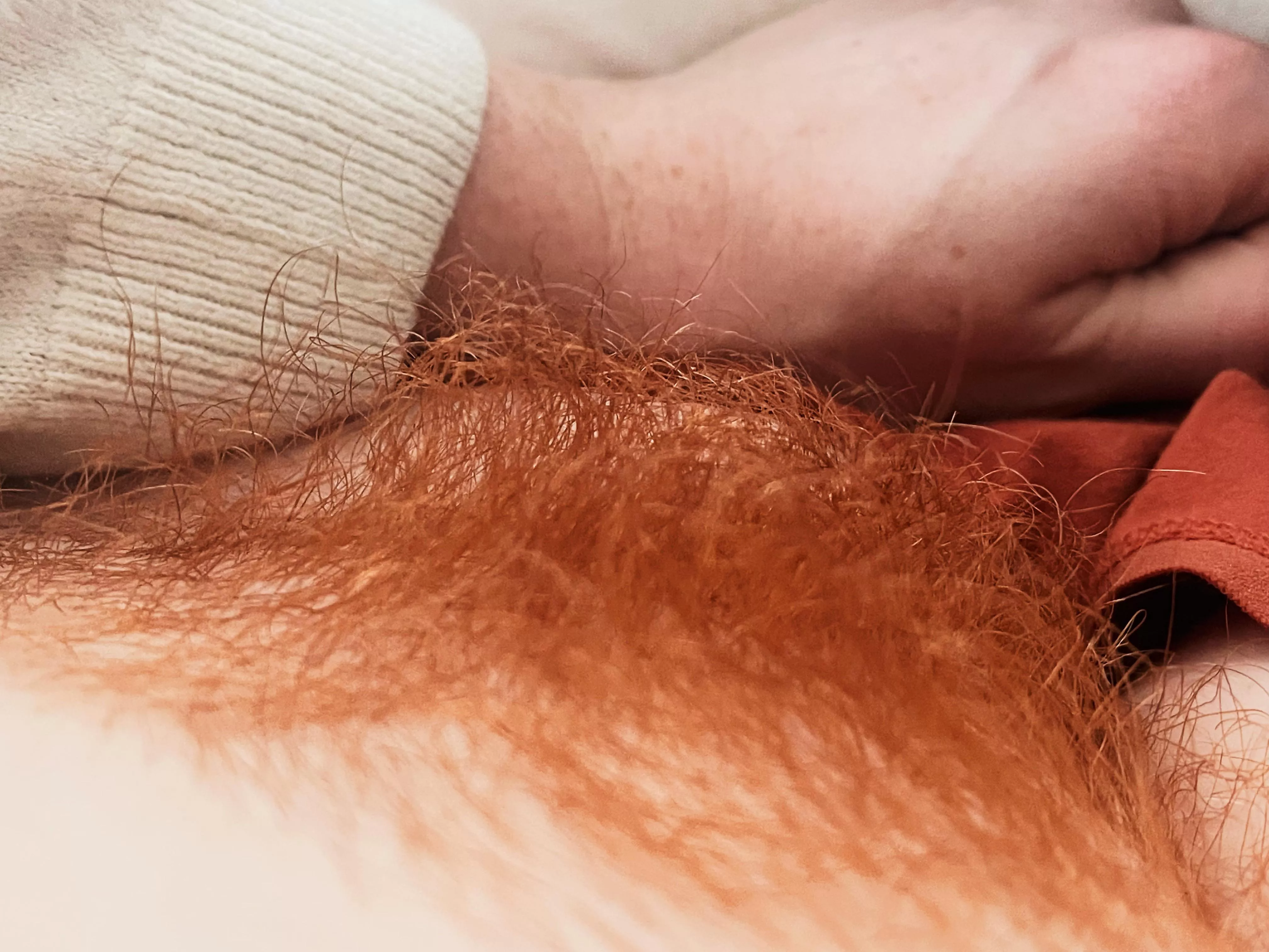 It’s been proven that introducing a dose of Brook to your daily routine improves relaxation, promotes better sleep, enhances self esteem and induces endorphins! Warning consuming in large amounts may lead to addiction and excessive libido 💦