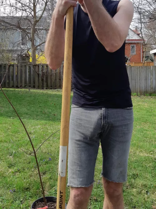 It's Earth Day, plant a tree 🌳