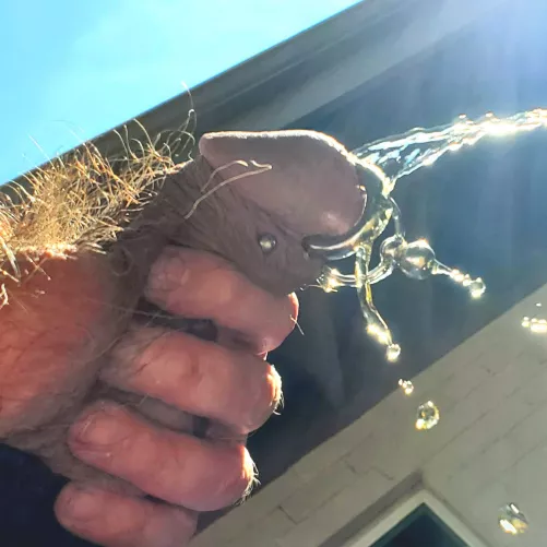 It's easier just to piss outside. Who wants to join me?