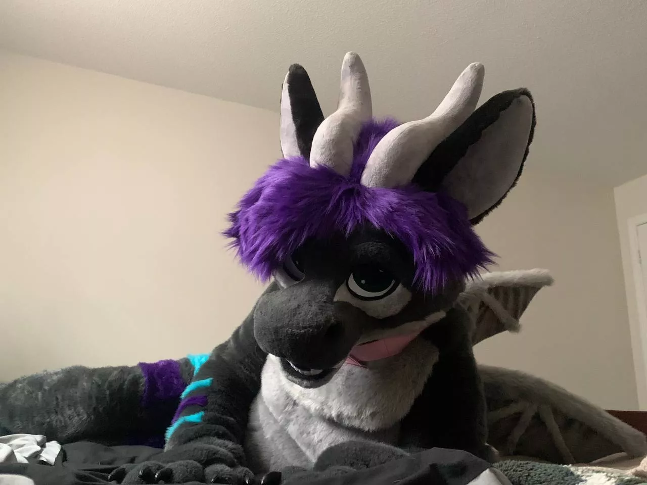 △ It's Friday again! Time for snugs. ^.=.^