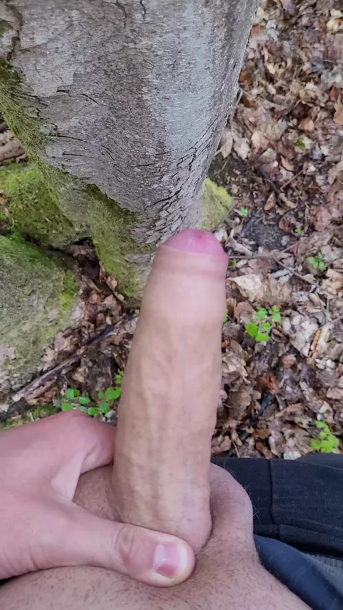 its so much fun jerking off outdoor. Pm mevif you want to know more about me