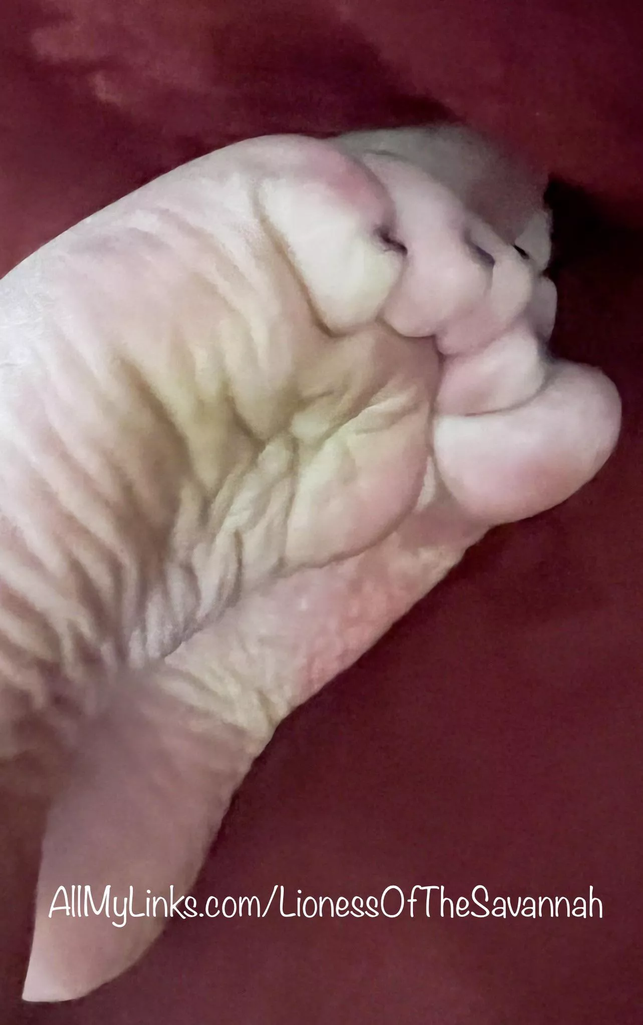 It’s Sole Sunday… You know you’re weak for my soles… 😜😉 Like what you see? Check out my profile and DM me! 🥰
