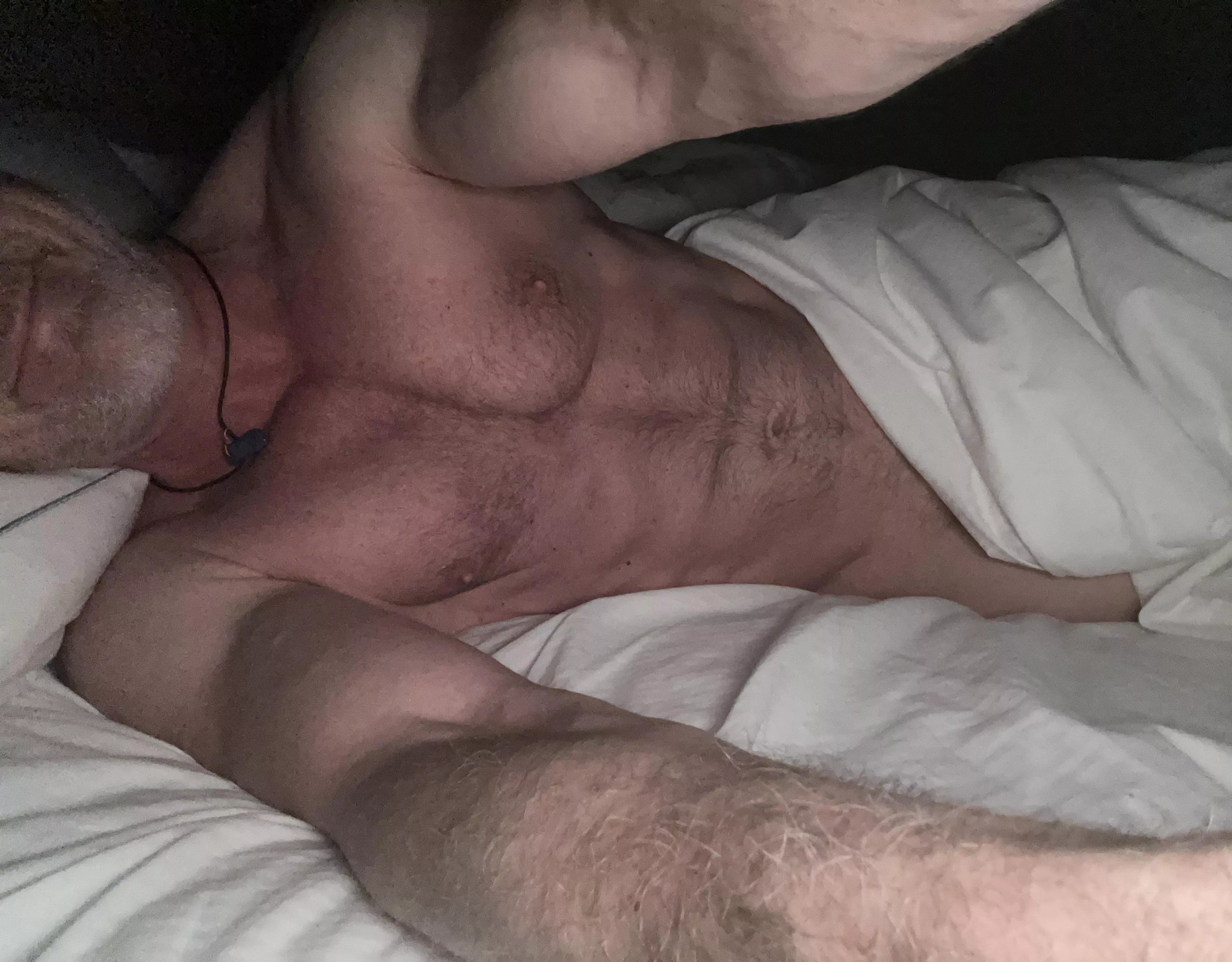 It’s too early to get up… come back to bed [53]