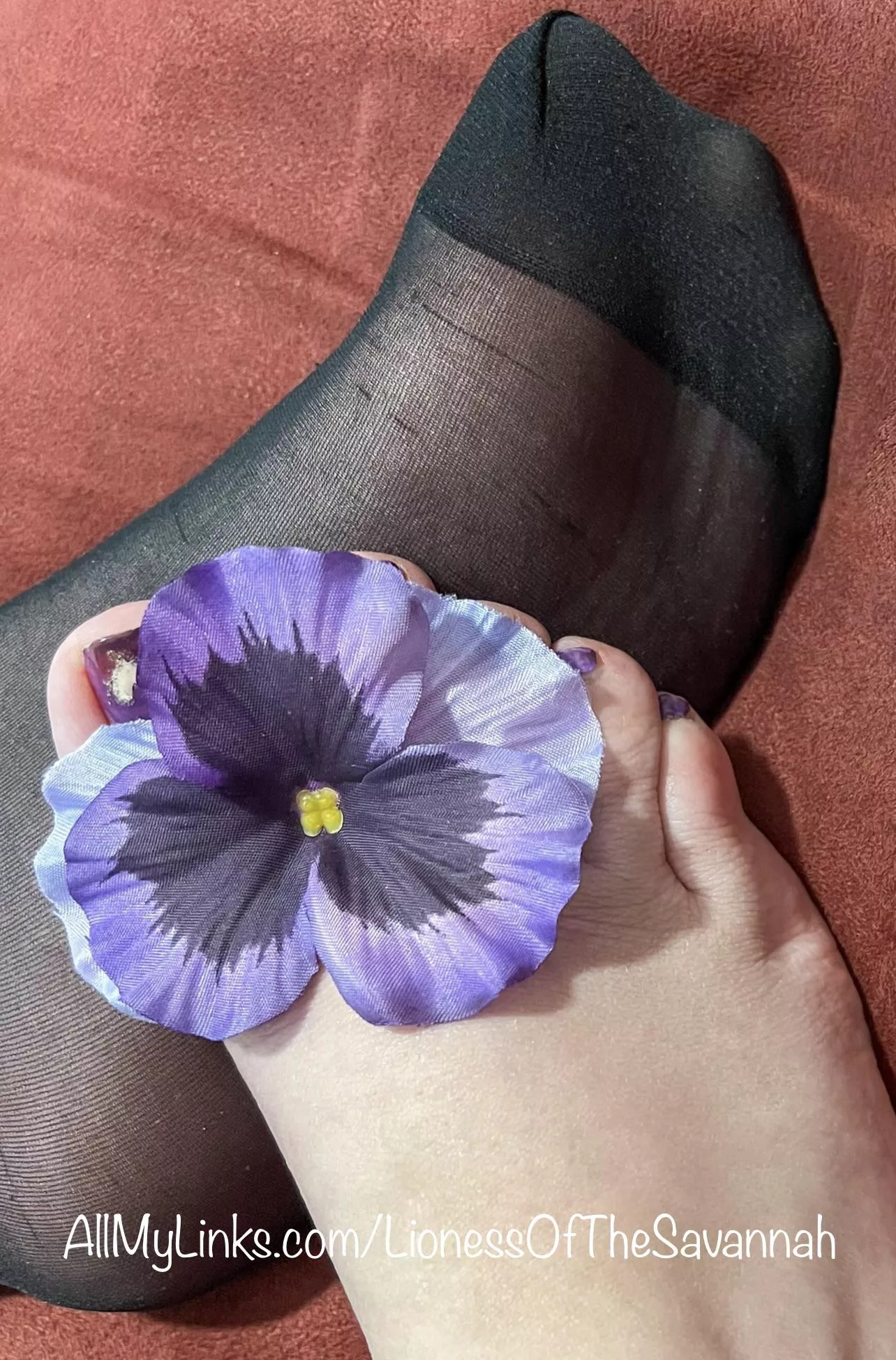 It’s Wrinkly Wednesday 😜😉 You like seeing my soles through my sexy nylon socks? (F)