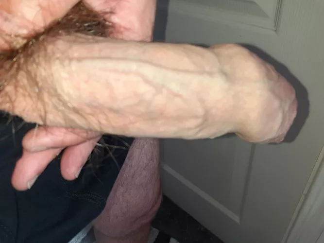 I've a bit of spare time,wonder what I could get up yo?