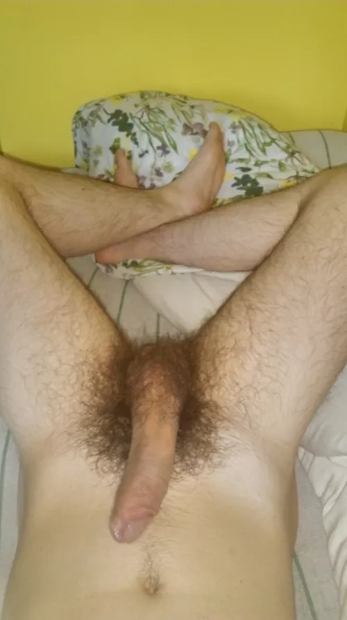 Just a casual morning wood :D