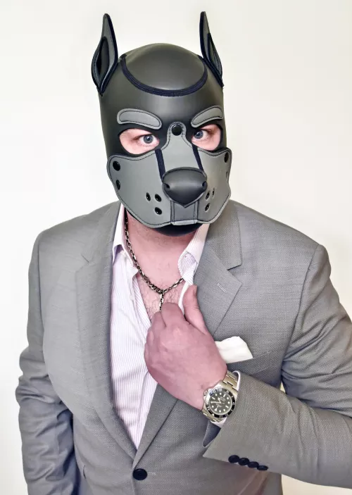 Just a pupfessional woofy 🐺