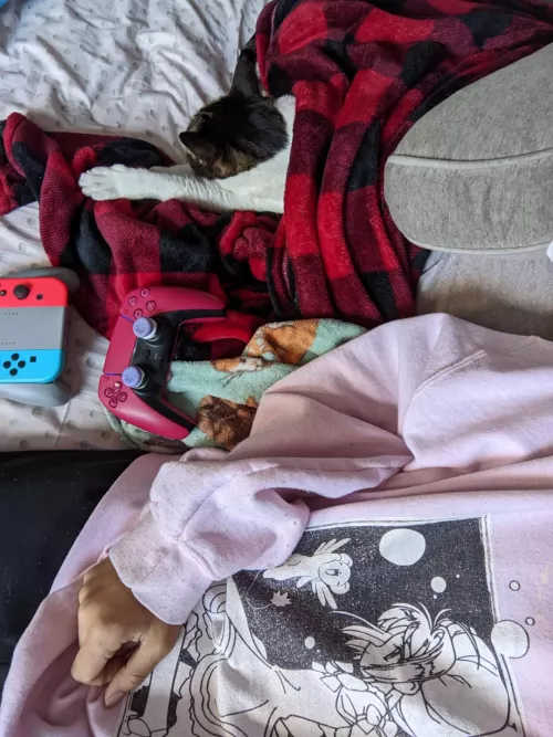 Just chillin with one of my kitties, feeling kinda lonely lately. Hoping someone will chat with me